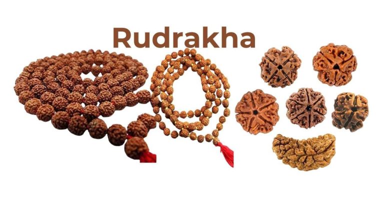 Rudraksha significance
