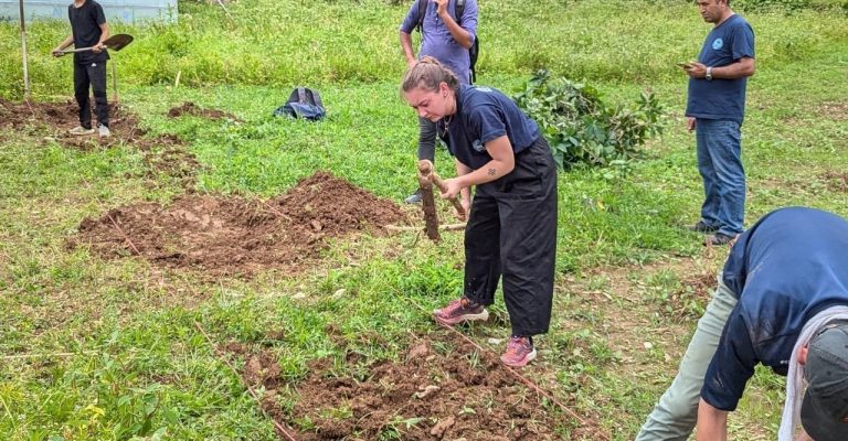 permaculture design