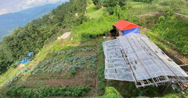 permaculture ntclc