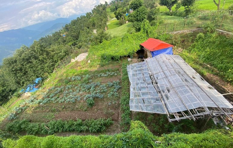 permaculture ntclc permaculture ntclc